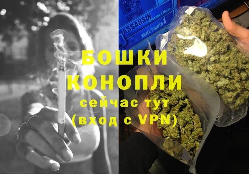 МАРИХУАНА SATIVA & INDICA  мега как войти  Пласт 